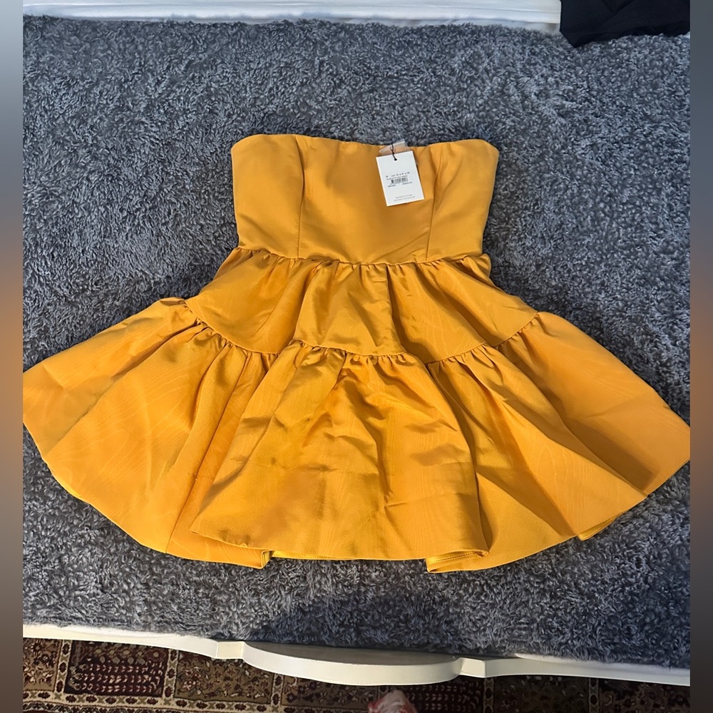 Bardot charlotte mini dress